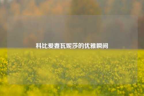 科比爱妻瓦妮莎的优雅瞬间