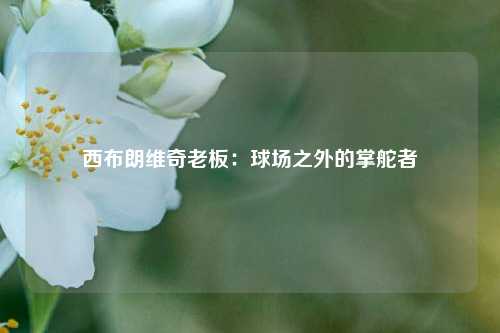 西布朗维奇老板：球场之外的掌舵者