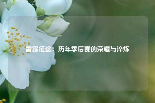 雷霆征途：历年季后赛的荣耀与淬炼