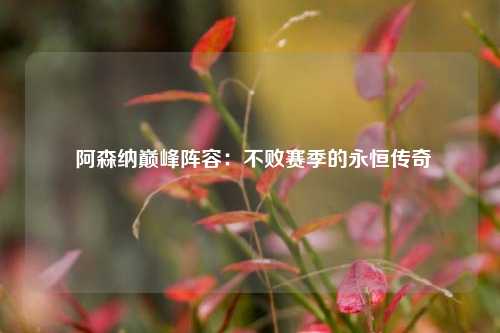  阿森纳巅峰阵容：不败赛季的永恒传奇