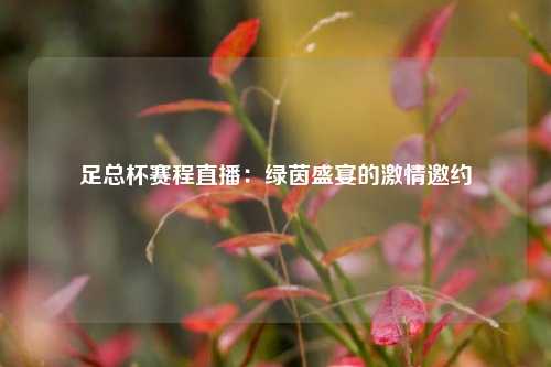足总杯赛程直播：绿茵盛宴的激情邀约