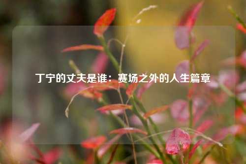 丁宁的丈夫是谁：赛场之外的人生篇章
