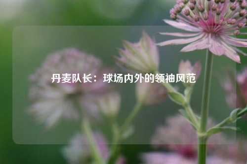 丹麦队长：球场内外的领袖风范